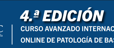 4ª Edición Curso Avanzado Internacional Online de Patología de Base de Cráneo