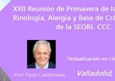 XXII Reunión de Primavera de la Comisión de Rinología, Alergia y Base de Cráneo Anterior