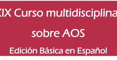 XIX CURSO MULTIDISCIPLINAR SOBRE SAOS. Edición Básica en Español