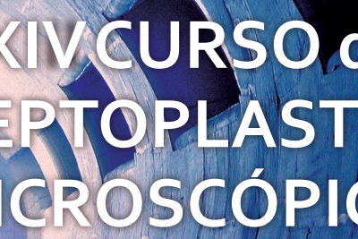 XXIV Edición del Curso de Septoplastia microscópica