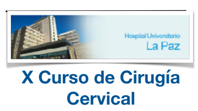 X Curso de Cirugía Cervical