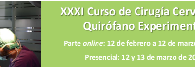 XXXI Curso de Cirugía Cervical en Quirófano Experimental