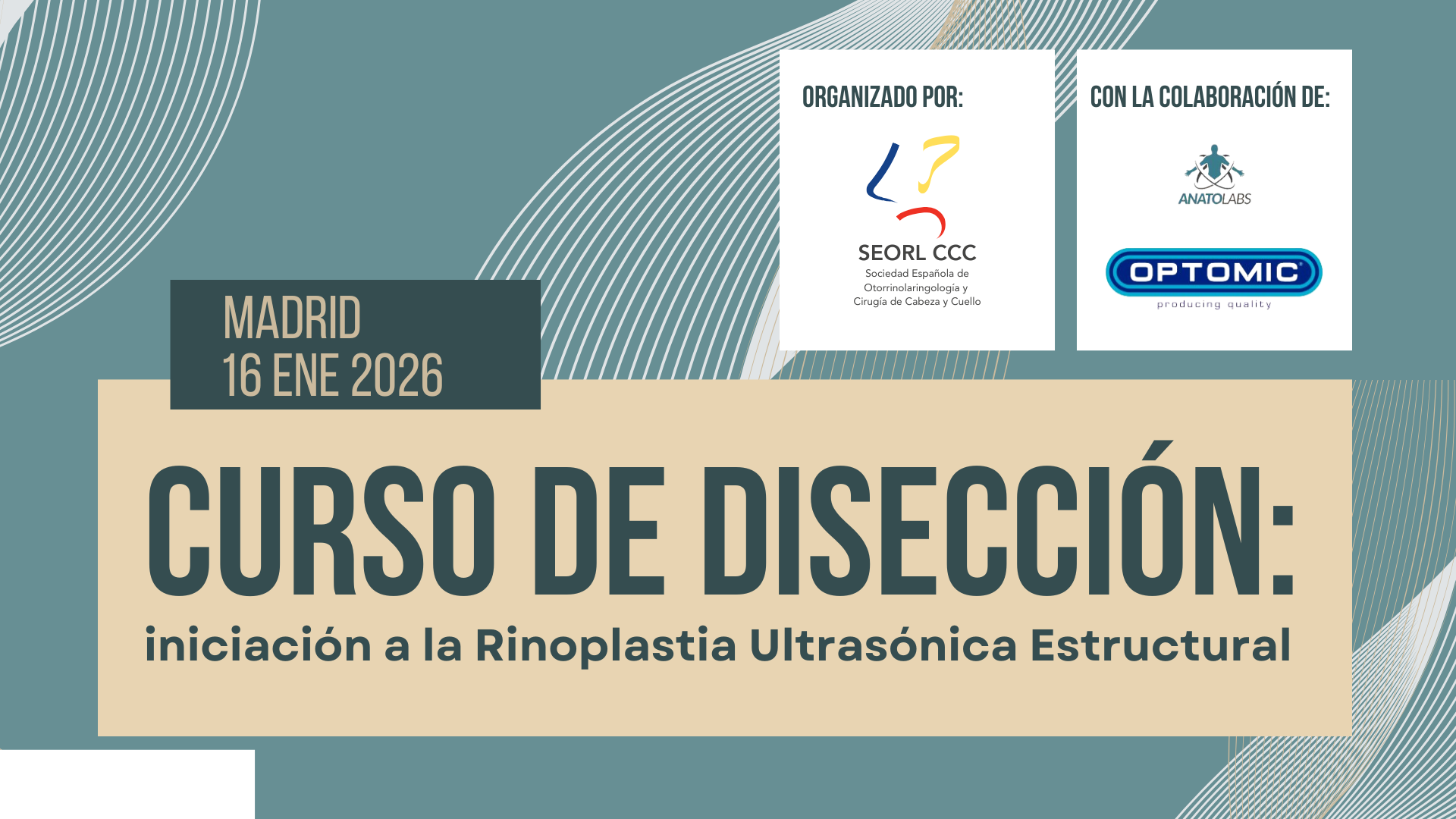 Disección_fondo