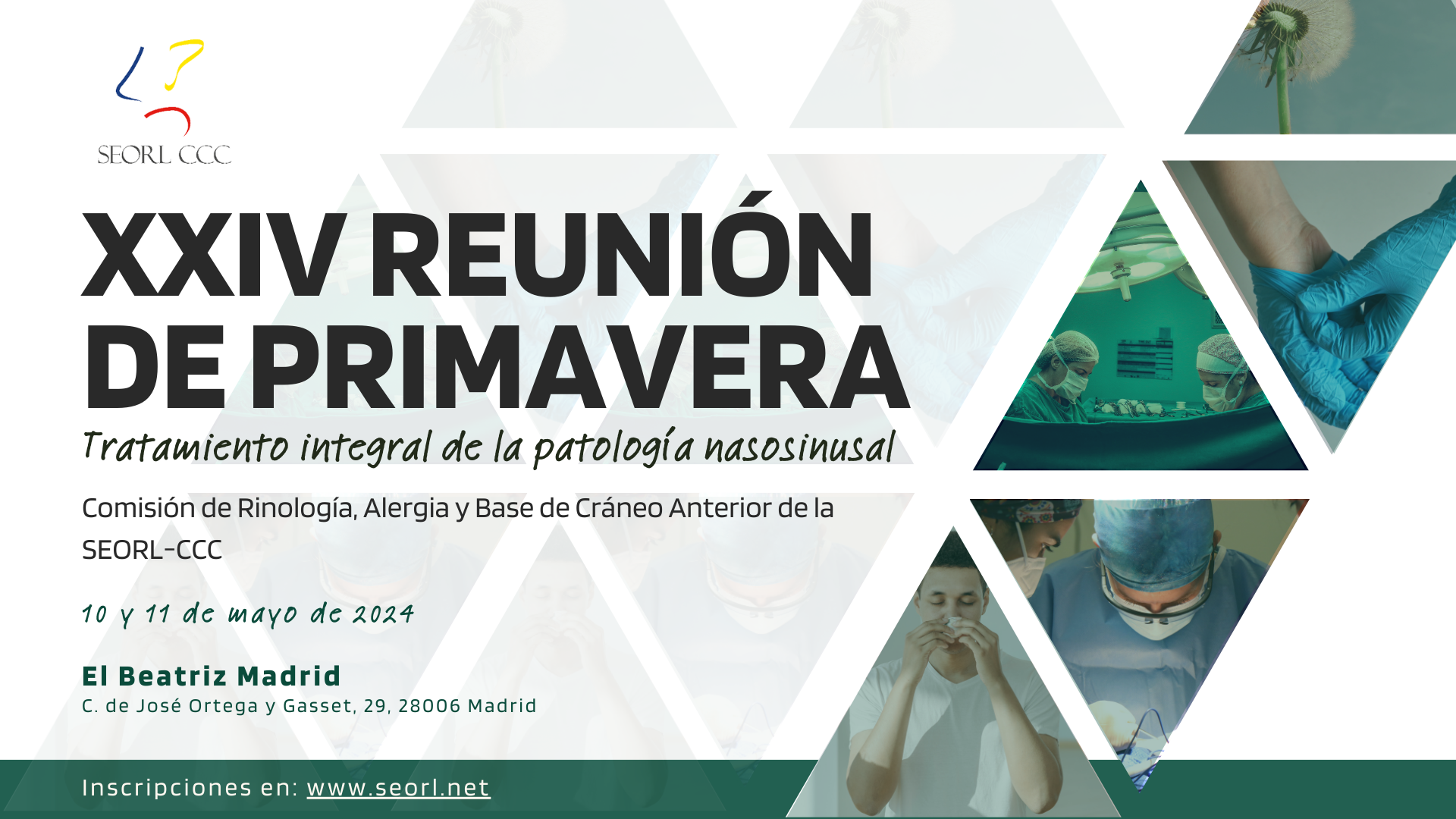 Imagen XXIV Reunión Primavera Rinología