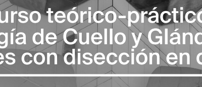 I Curso teórico-práctico de Cirugía de Cuello y Glándulas Salivales con disección en cadáver