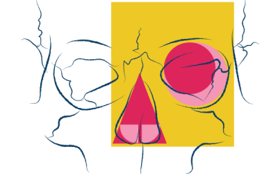 27º CURSO DE  DISECCIÓN Y ANATOMÍA  QUIRÚRGICA DE  LA FOSA NASAL,  SENOS  PARANASALES,  VÍA LAGRIMAL,  ÓRBITA Y BASE  DE CRÁNEO