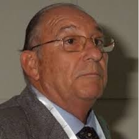 Prof. Juan Bartual Pastor
