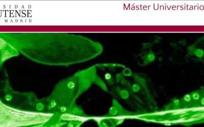 Máster Universitario en Audiología