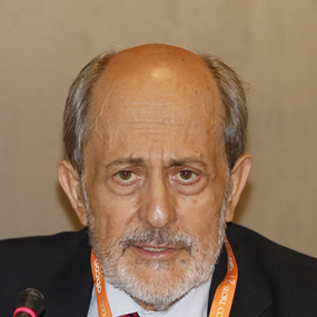 Primitivo Ortega del Álamo
