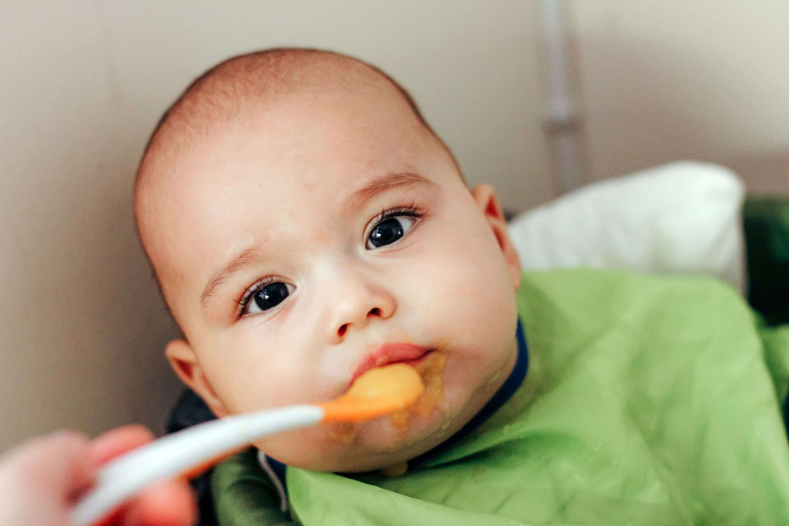 feeding-the-baby-child-eating-by-spoon-baby-food-2024-10-18-04-09-04-utc